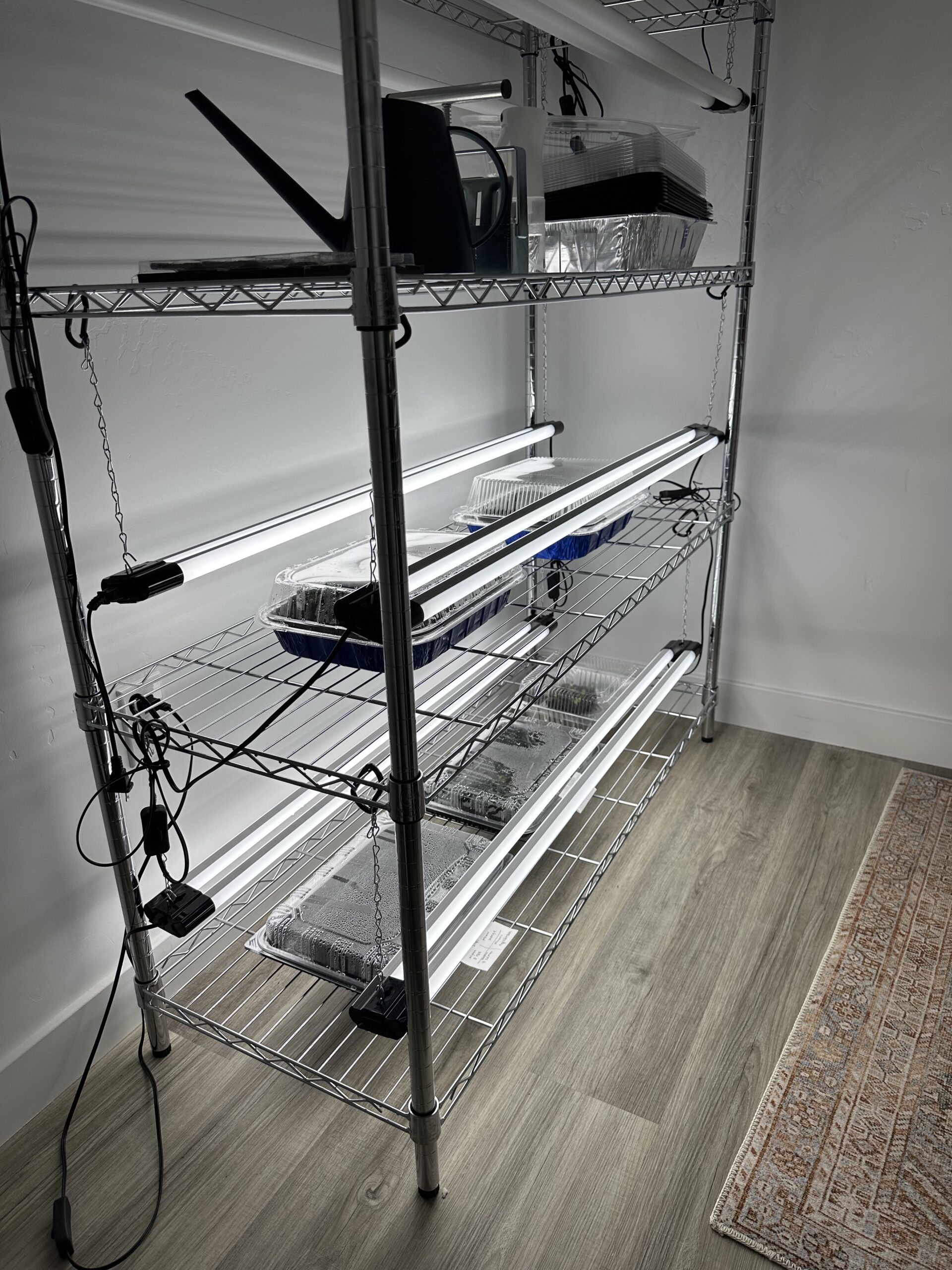 Starting seeds in my laundry room